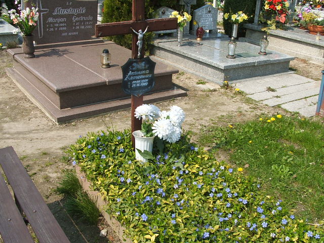 Antonina Łukaszewicz 1905 Lewin Brzeski - Grobonet - Wyszukiwarka osób pochowanych