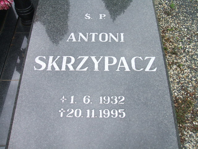 Józefa Skrzypacz 1936 Lewin Brzeski - Grobonet - Wyszukiwarka osób pochowanych