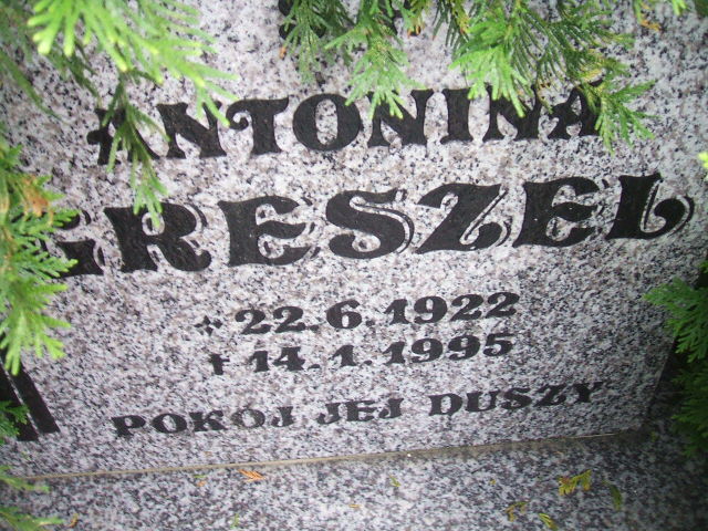 Klementyna Błaszczyk 1951 Lewin Brzeski - Grobonet - Wyszukiwarka osób pochowanych